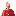 New Pope