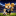 WORLD CUP DOGE